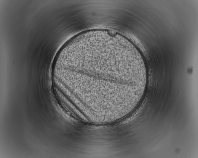 X0000101190892200807251000