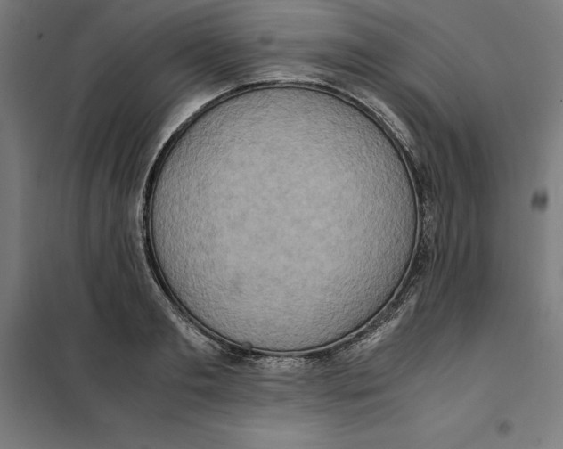 X0000101190893200807251000