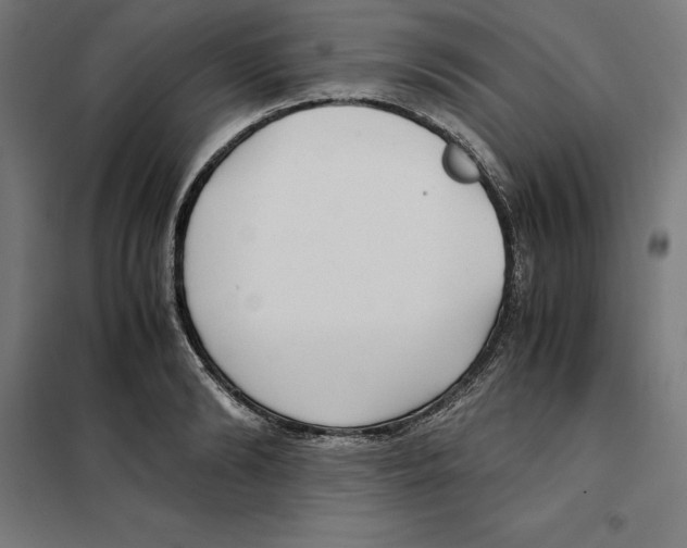 X0000101190894200807251000