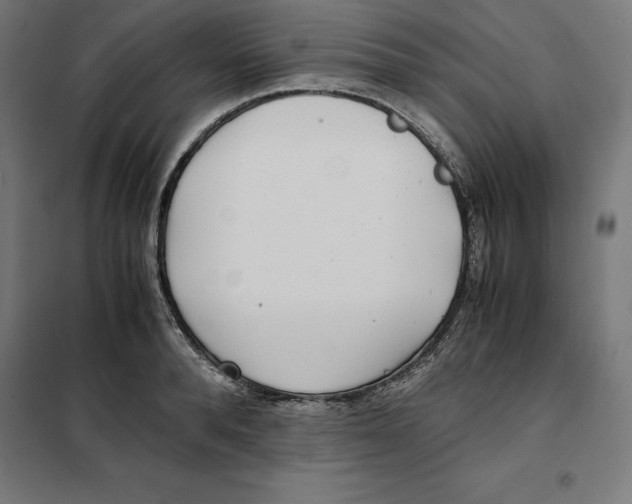 X0000101190896200807251000