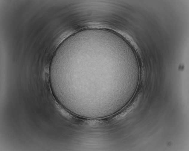 X0000101190897200807251000