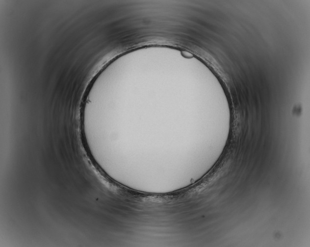 X0000101190898200807251000