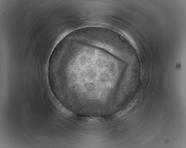 X0000101190899200807251000