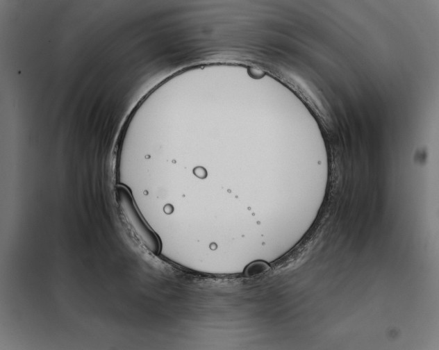 X0000101190900200807251000