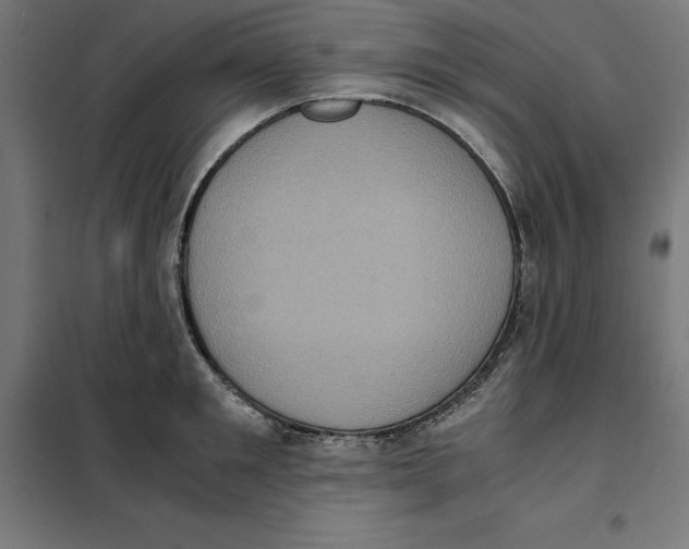 X0000101190901200807251000