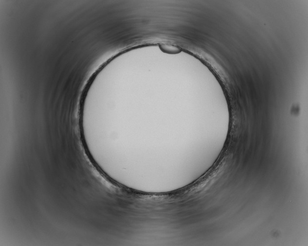 X0000101190902200807251000