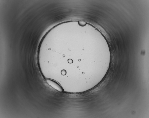 X0000101190904200807251000