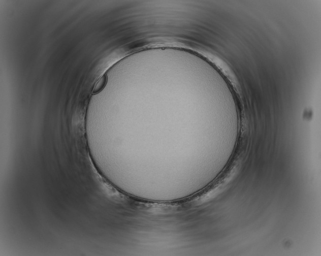 X0000101190905200807251000