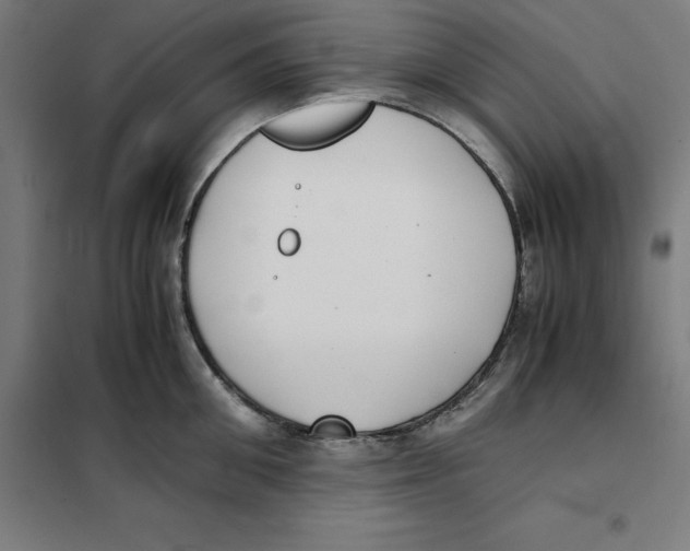 X0000101190906200807251000
