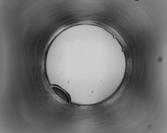 X0000101190908200807251000