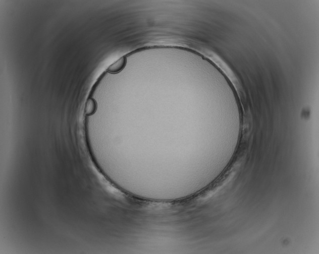 X0000101190909200807251000