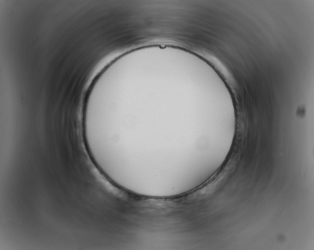 X0000101190910200807251000