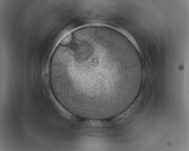 X0000101190911200807251000