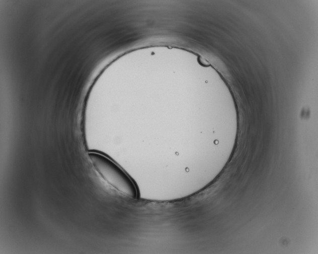 X0000101190912200807251000
