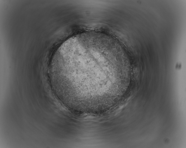 X0000101190913200807250959