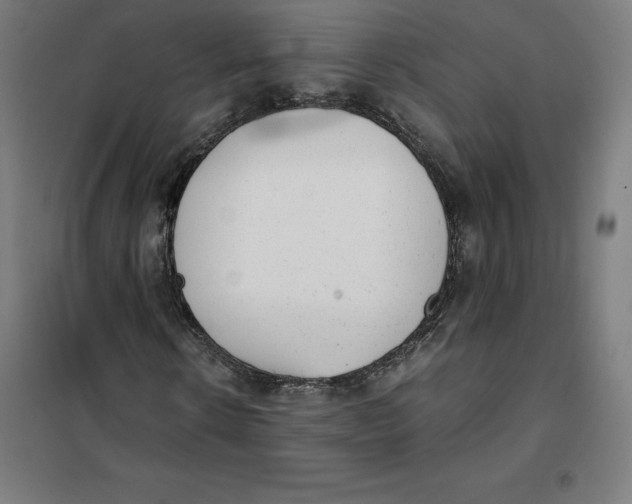 X0000101190914200807250959