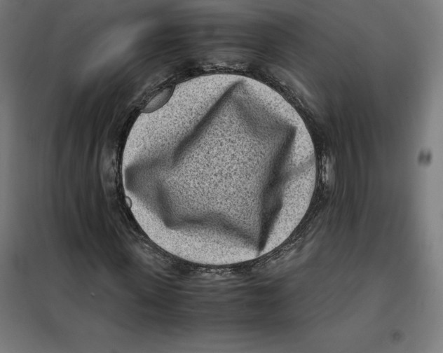 X0000101190915200807250959