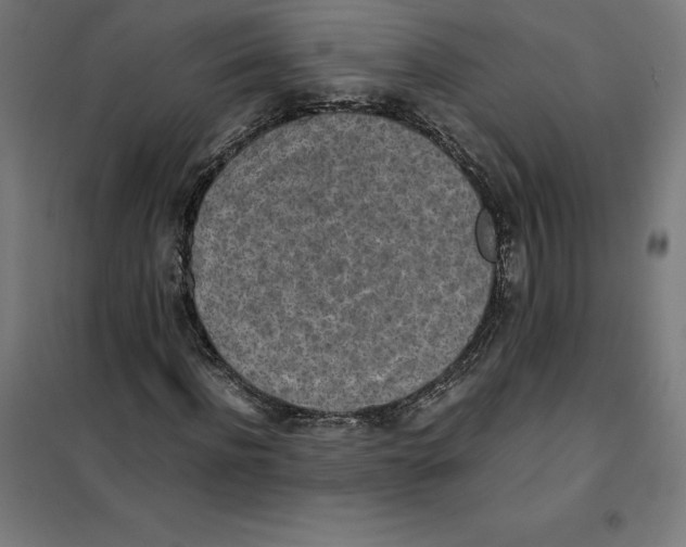 X0000101190916200807250959