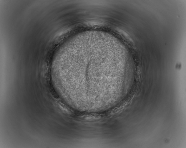 X0000101190917200807250959