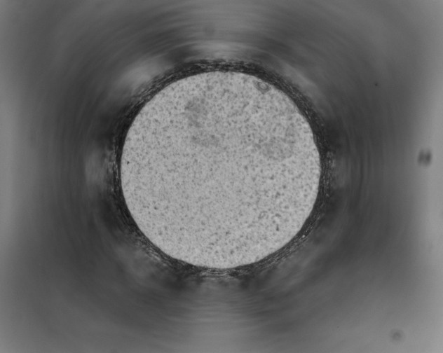 X0000101190918200807250959