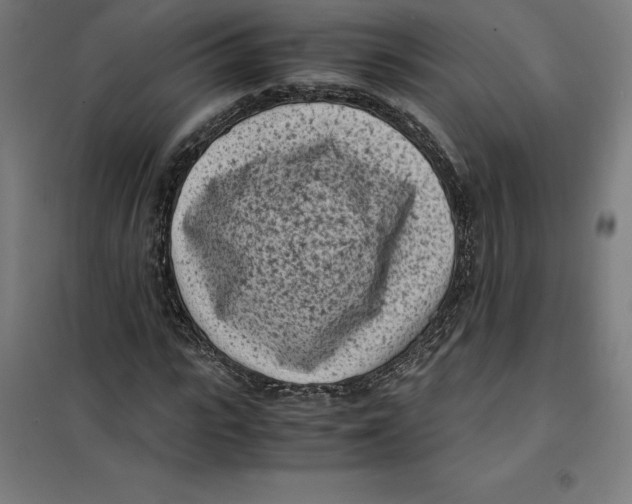 X0000101190919200807250959