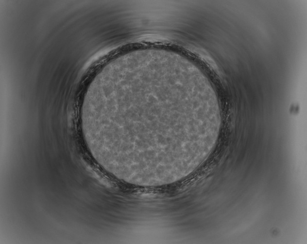X0000101190920200807250959