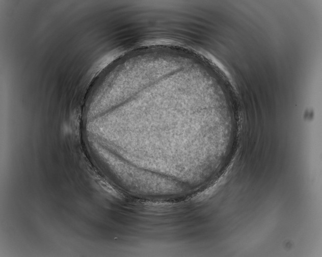 X0000101190921200807250959