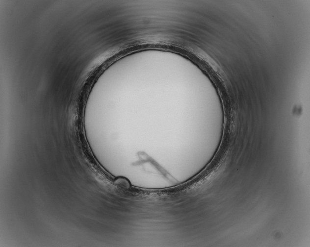X0000101190922200807250959