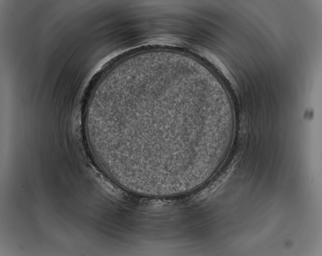 X0000101190923200807250959