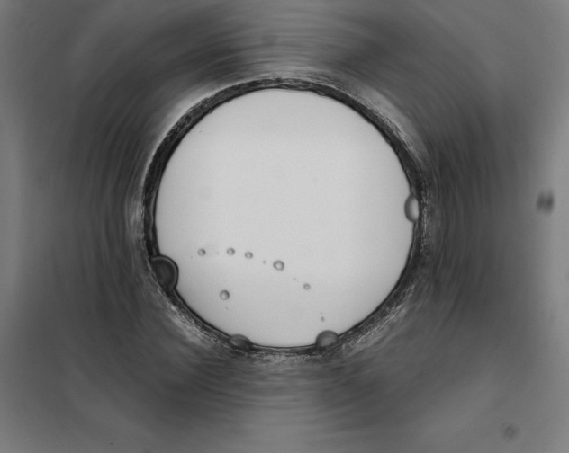X0000101190924200807250959