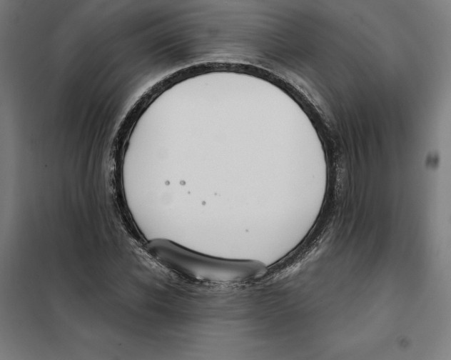 X0000101190926200807250959