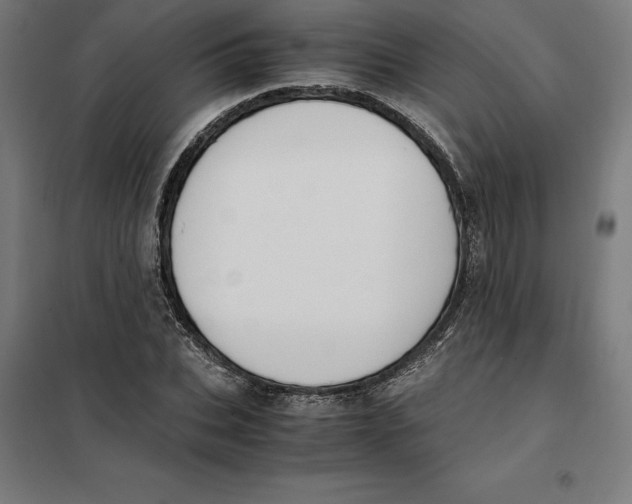 X0000101190927200807250959
