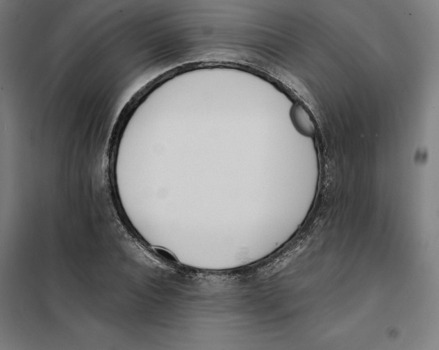 X0000101190928200807250959