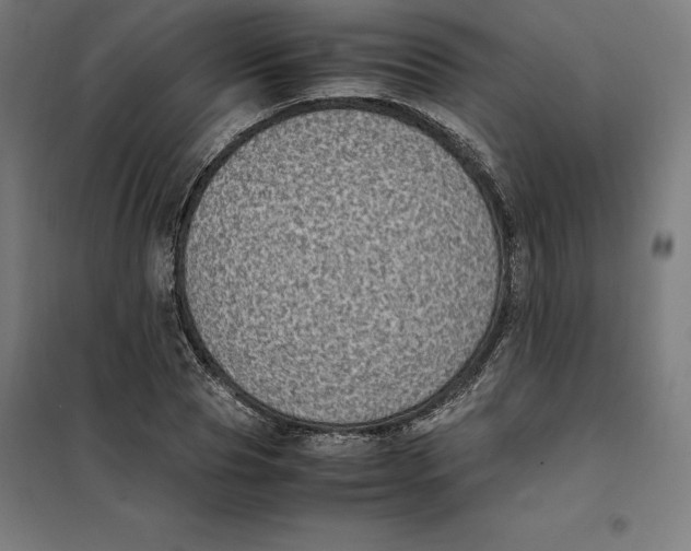 X0000101190929200807250959