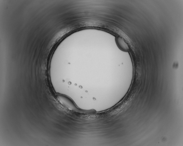 X0000101190930200807250959