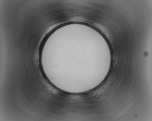 X0000101190931200807250959