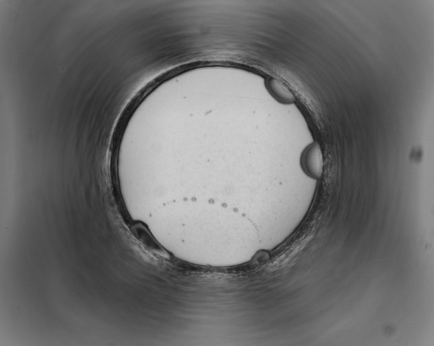 X0000101190932200807250959