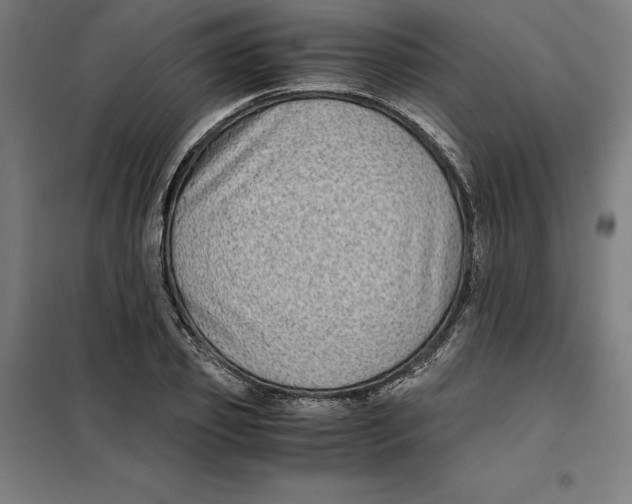 X0000101190933200807250959