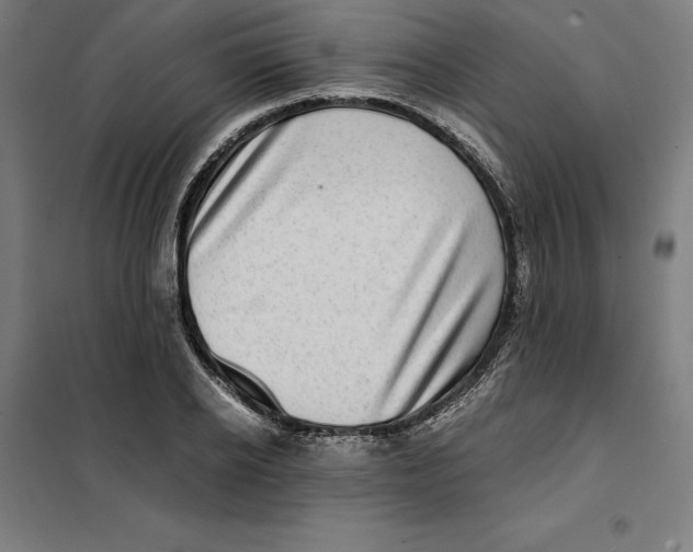 X0000101190934200807250959