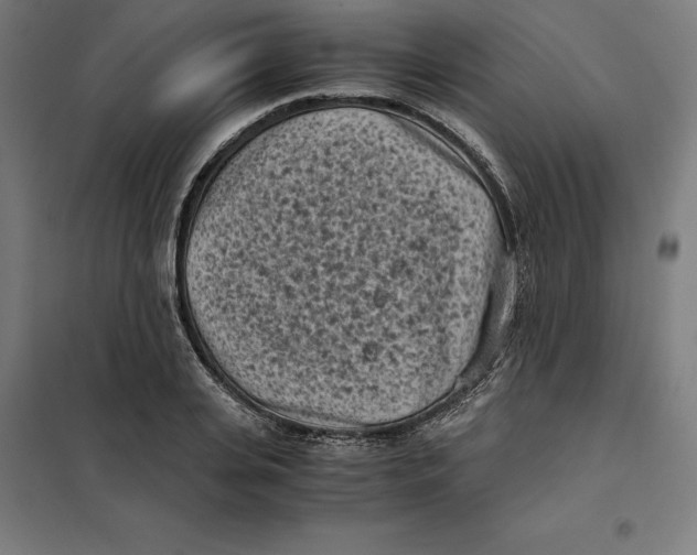X0000101190935200807250959
