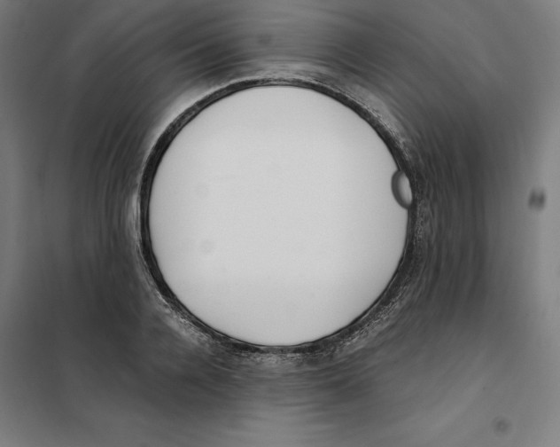 X0000101190936200807250959