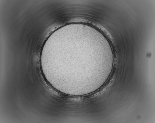 X0000101190937200807250959