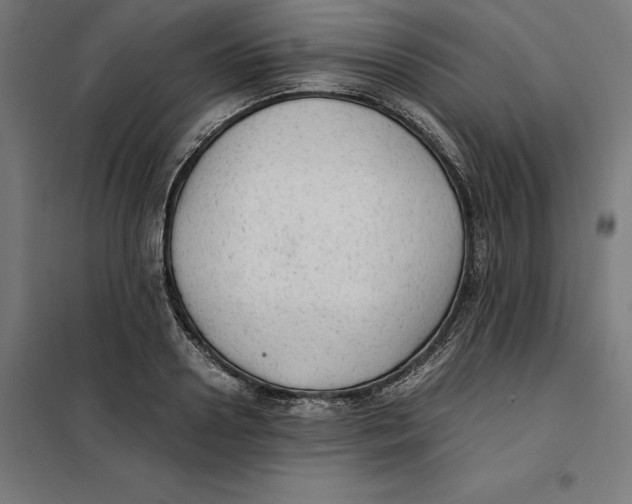 X0000101190938200807250959