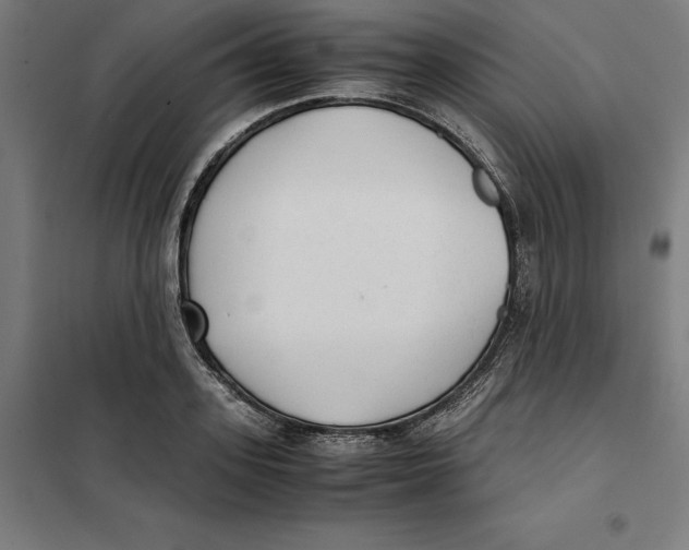 X0000101190939200807250959