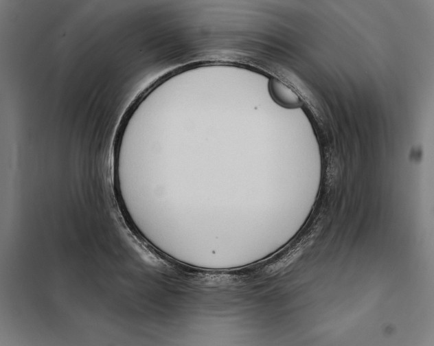X0000101190940200807250959