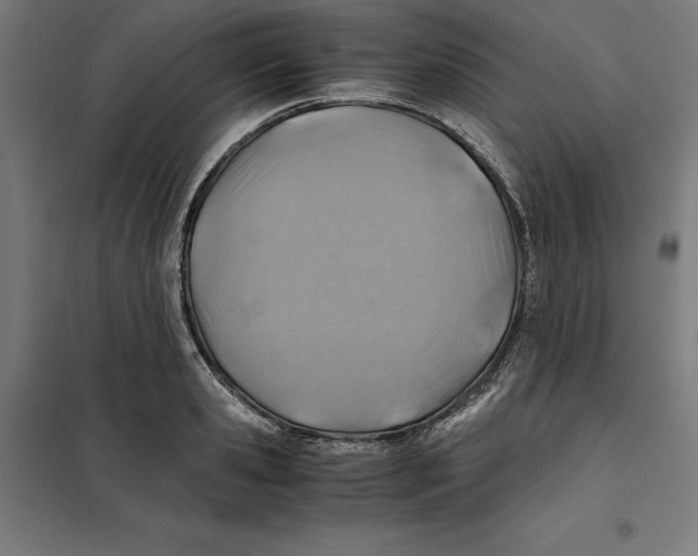 X0000101190941200807250959