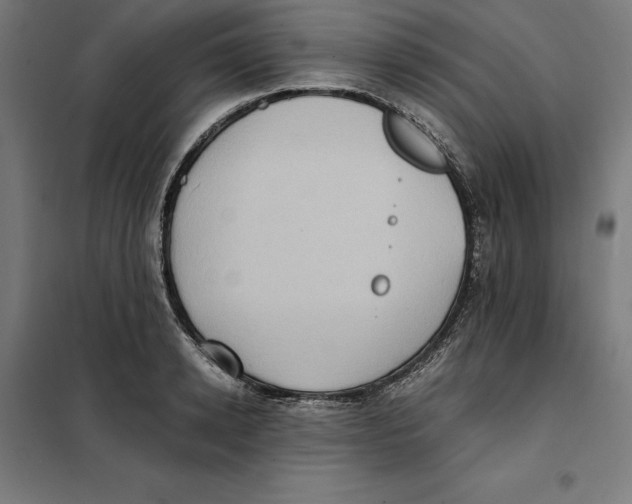 X0000101190942200807250959