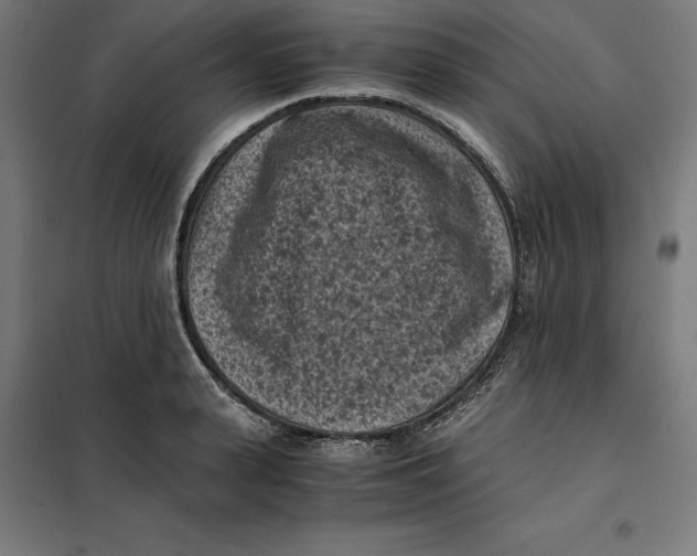 X0000101190943200807250959