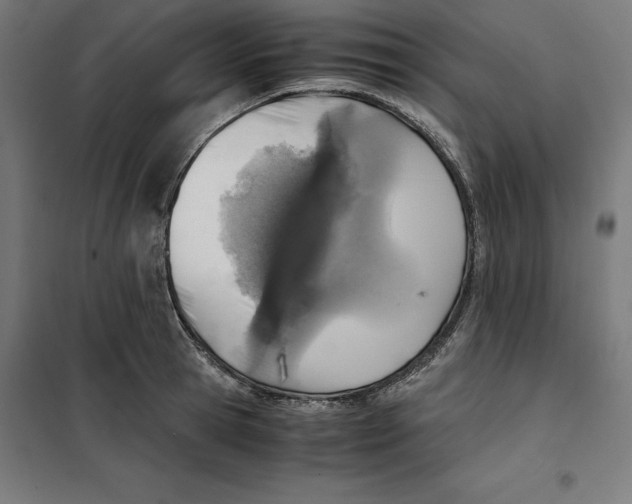 X0000101190945200807250959