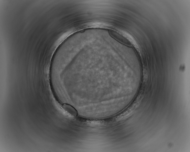 X0000101190946200807250959